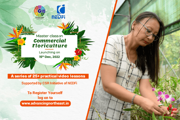 A Masterclass on Commercial Floriculture cover