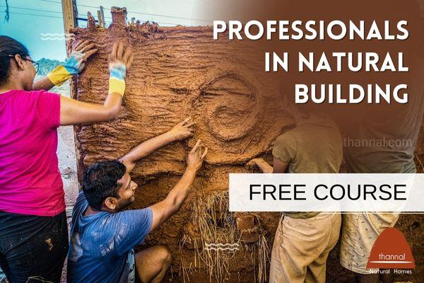 Professional's in Natural Building cover