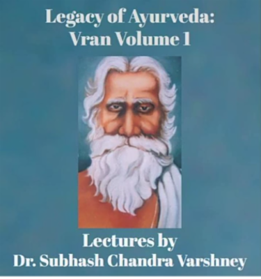 Legacy of Ayurveda:Vran Volume 1 (Hindi) cover