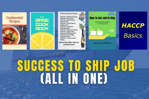Success To Ship Job - Master Course Bundle (ebook + video version) cover