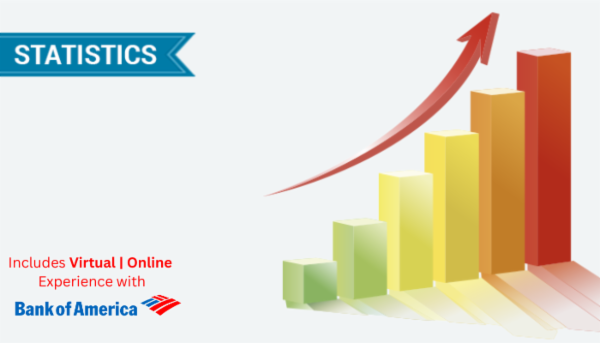 Statistics for Everyone cover