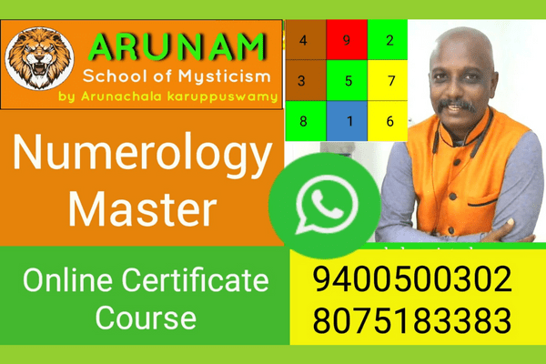 Master Numerology cover