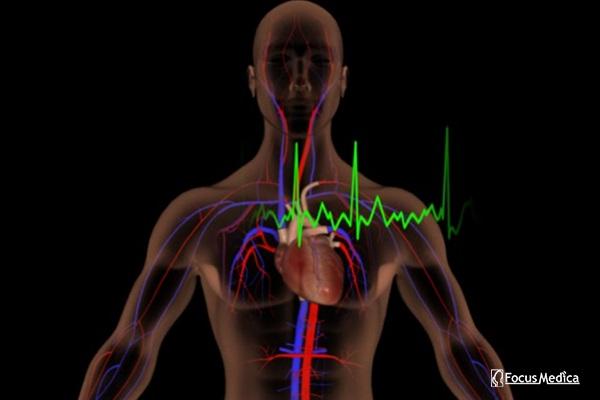 Animated Atlas of Atrial Fibrillation cover