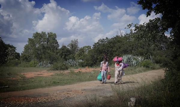 Lockdown Diaries cover