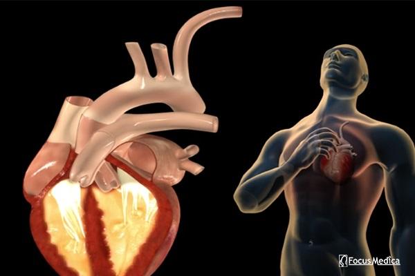 Animated Atlas of Cardiology cover
