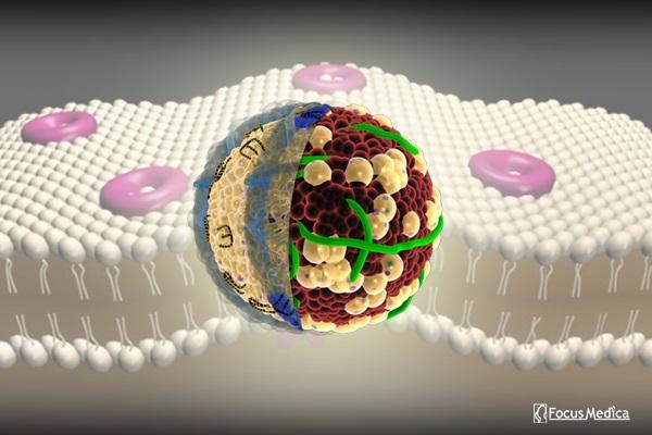 Animated Atlas of Cholesterol & CVRM cover