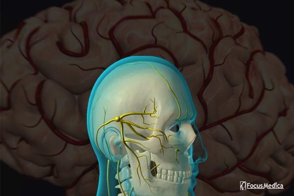 Animated Atlas of Migraine cover