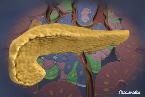 Animated Atlas of Diabetes cover