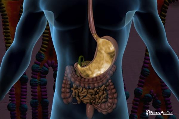 Animated Atlas of Gastric Cancer cover