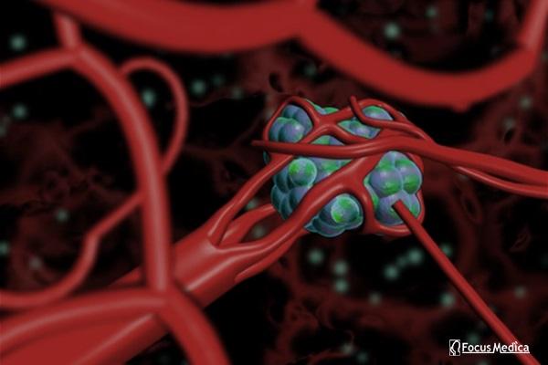 Animated Atlas of Oncology cover