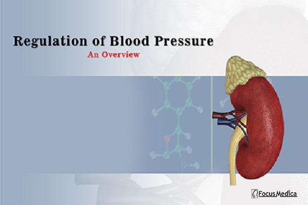 Regulation of Blood Pressure cover