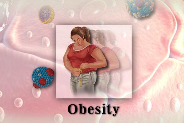Understanding Obesity cover