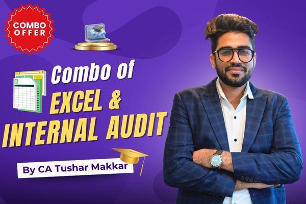Excel Champ with Master Blaster of Internal Audit - Hindi cover