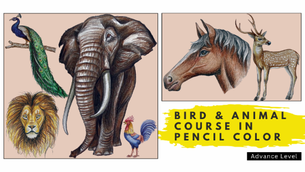 Bird & Animal Course in Pencil Color cover
