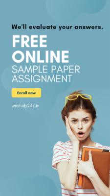 SCJCA MAINS SAMPLE PAPER ASSIGNMENT cover