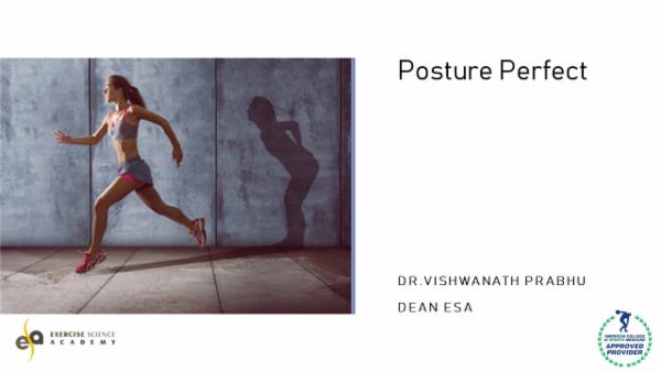 Posture Perfect - Level 1 cover