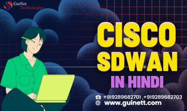 Cisco SDWAN in Hindi cover
