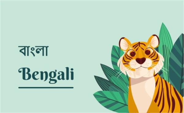 Bengali Course cover