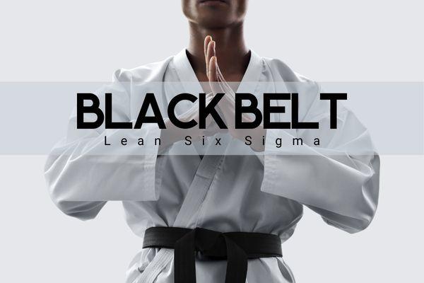 Lean Six Sigma - Black Belt cover