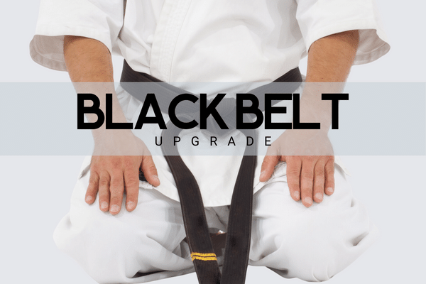 Lean Six Sigma - Black Belt (upgrade) cover