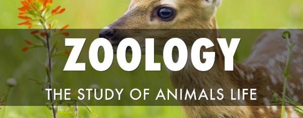 ZOOLOGY NEET COURSE cover