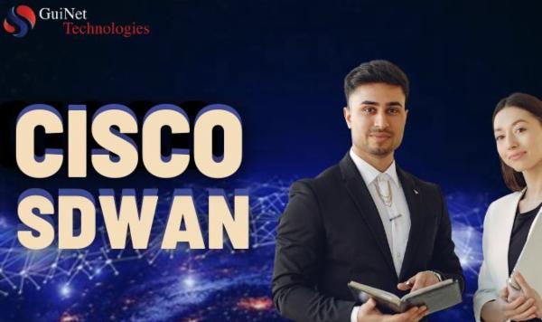 Cisco SDWAN- Live cover