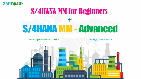S/4HANA MM Beginners and Advanced Courses cover