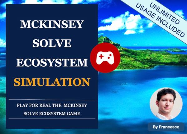 McKinsey Ecosystem Simulation cover