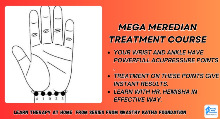 MEGA MERIDIAN TREATMENT MASTERCOURSE cover