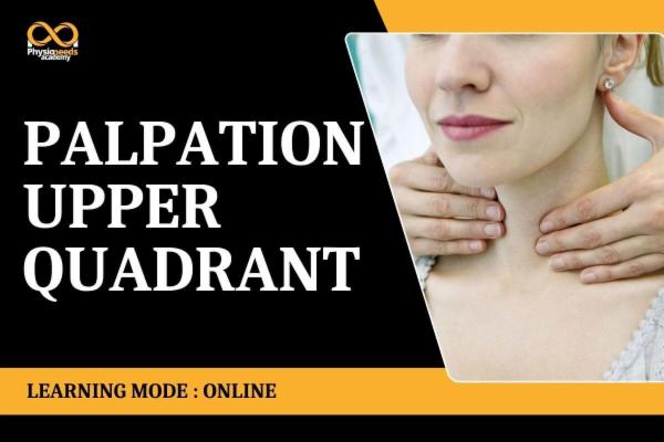 Palpation Upper Quadrant