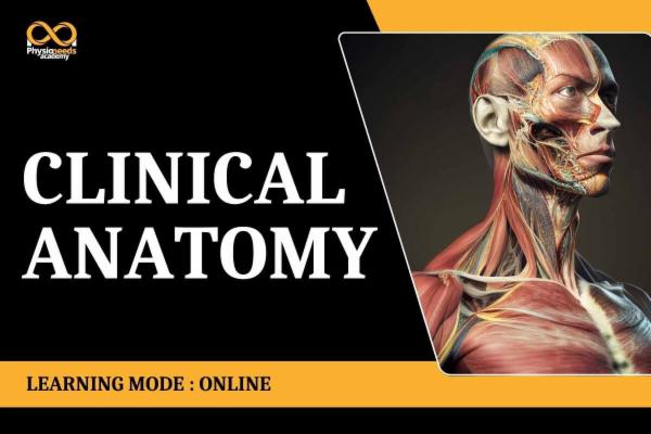 Clinical Anatomy