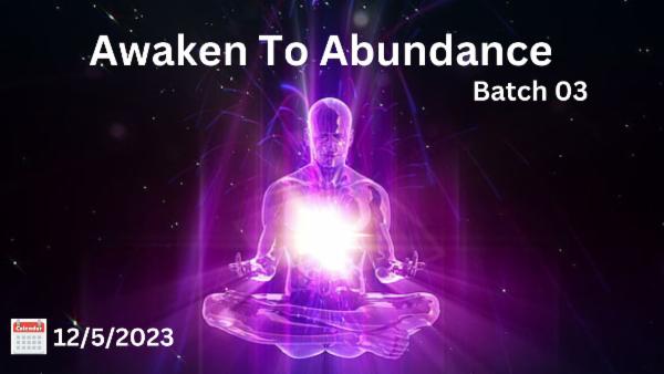 Awaken to Abundance  03 cover