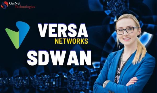 Versa SDWAN-Hindi cover