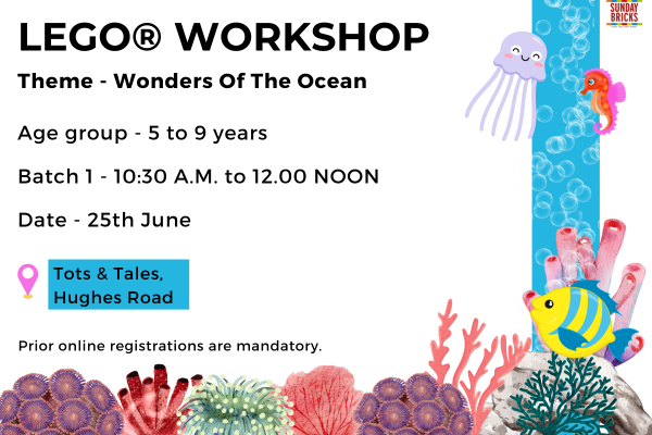 B1 -Hughes Road- Wonders of the Ocean cover