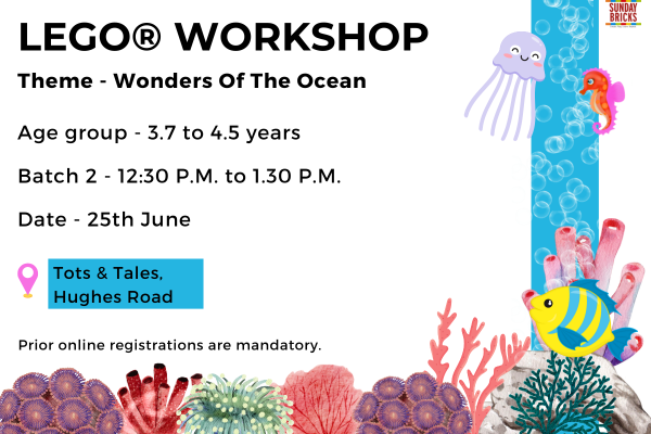 B2 -Hughes Road- Wonders of the Ocean cover