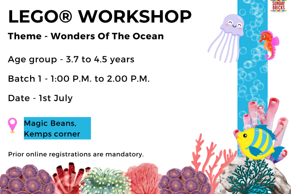 B1-Kemps Corner- Wonders of the Ocean cover