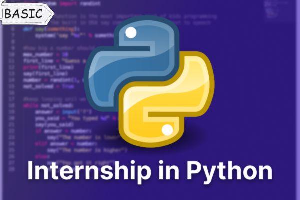 Online Internship In Python cover