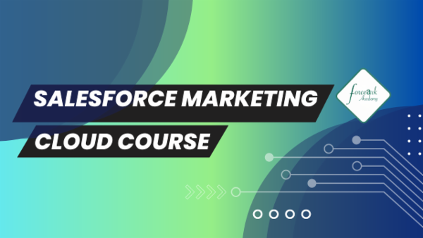 The Ultimate Salesforce Marketing Cloud Course. cover
