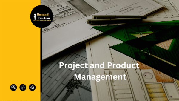 Executive Program in Project and Product Process Management: Implementation and Guide cover