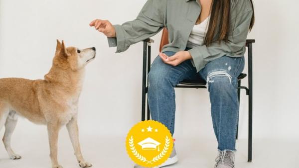 Certification in Pet Training cover