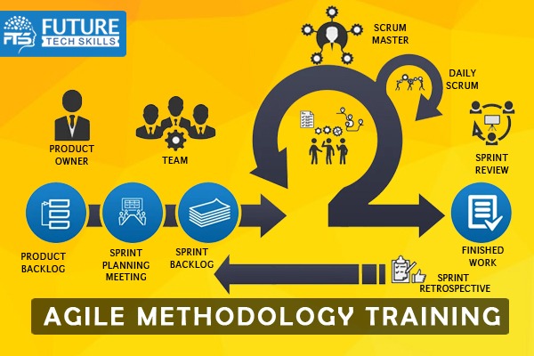Agile Methodology cover