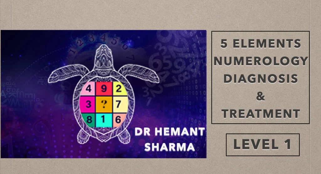 5 Elements Numerology Diagnosis & Treatment (Level one) cover