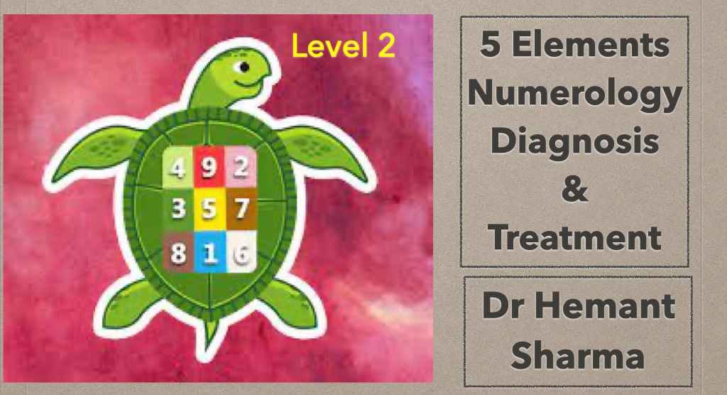 5 Elements Numerology Diagnosis & Treatment ( Level Two) cover
