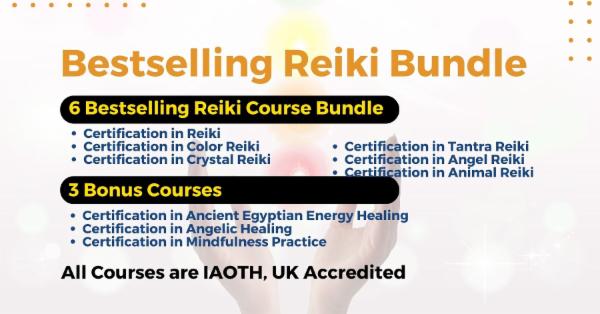 6 Bestselling Reiki Course Bundle cover