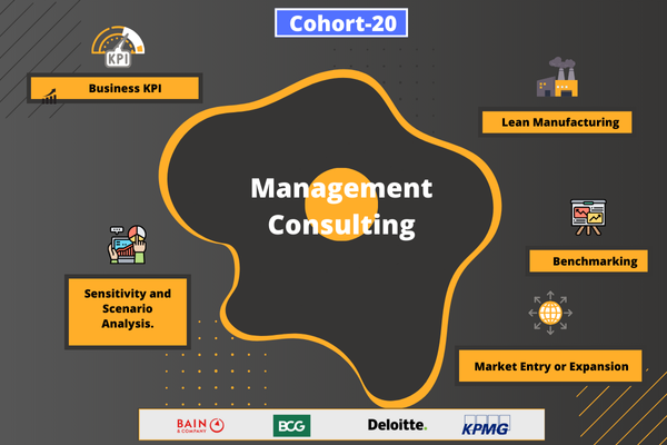 Management Consulting Fellowship Program cover