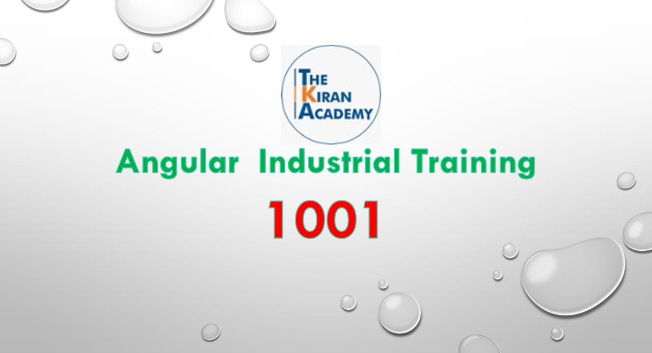Angular Industrial Training - 1001 cover