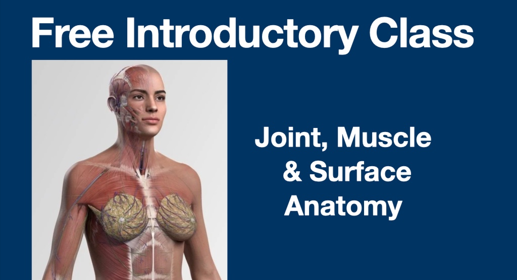 Free Introductory Webinar on joint Muscle & Surface Anatomy cover