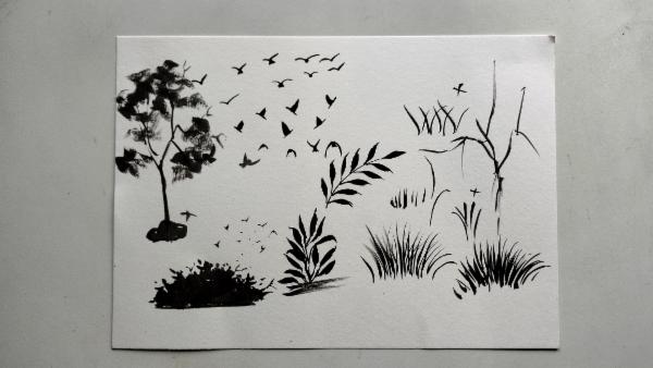 Basic Silhouette cover