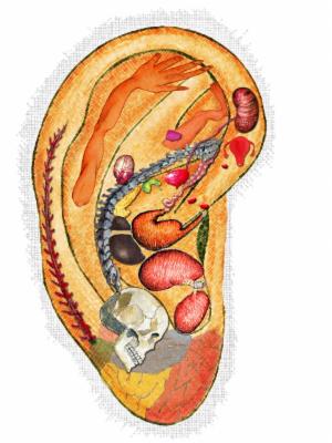 Auricular Therapy Level- 1 cover