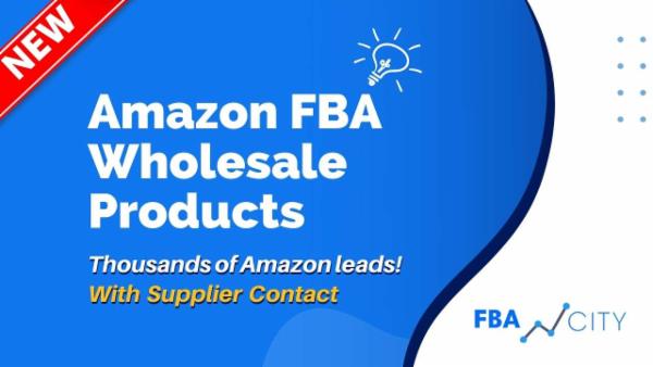 Amazon FBA Wholesale Course cover